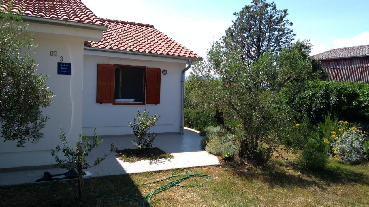 Apartman Ruza Brzac Dış mekan fotoğraf