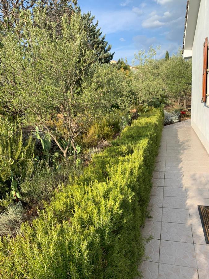 Apartman Ruza Brzac Dış mekan fotoğraf