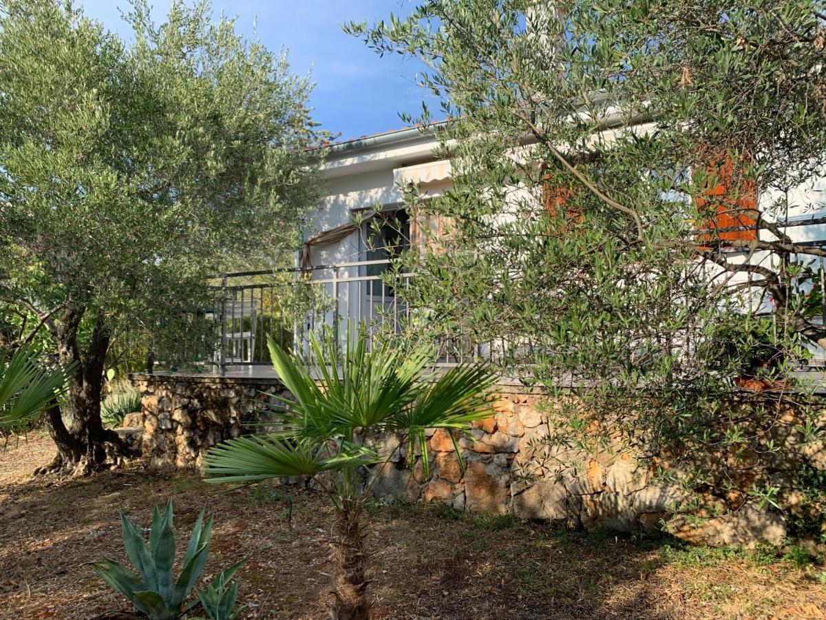 Apartman Ruza Brzac Dış mekan fotoğraf