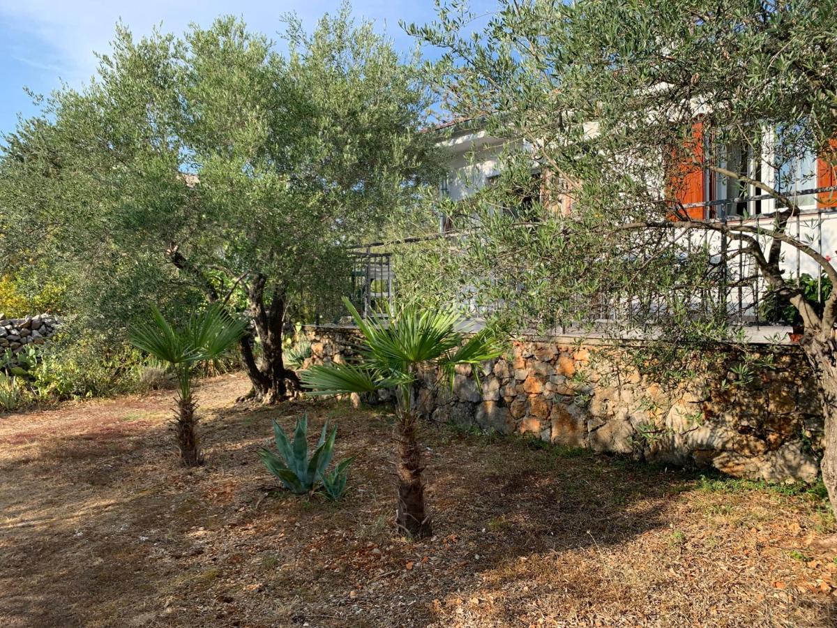 Apartman Ruza Brzac Dış mekan fotoğraf